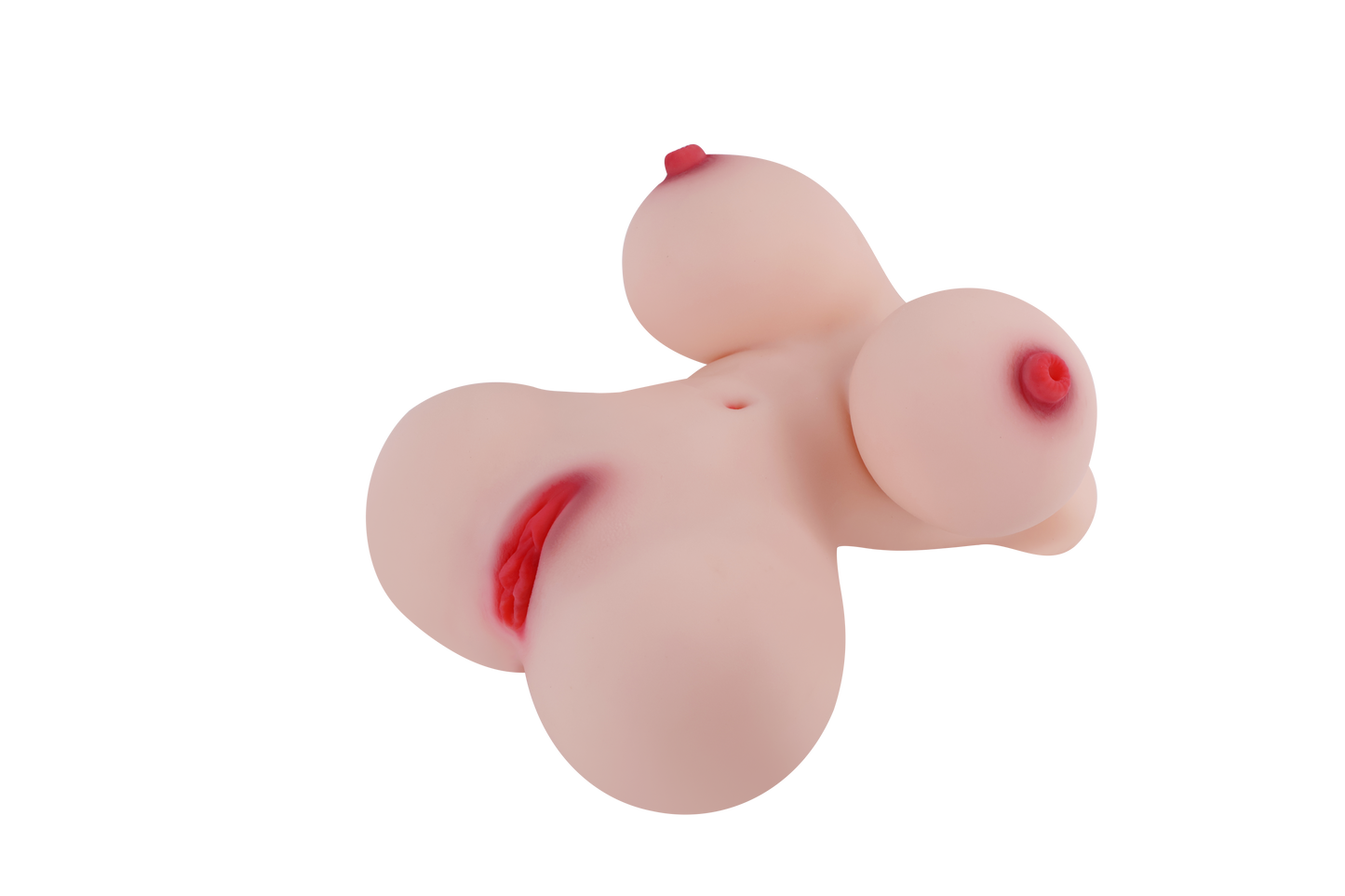 Female Torso with Skeleton (Usable Breasts)-4X815