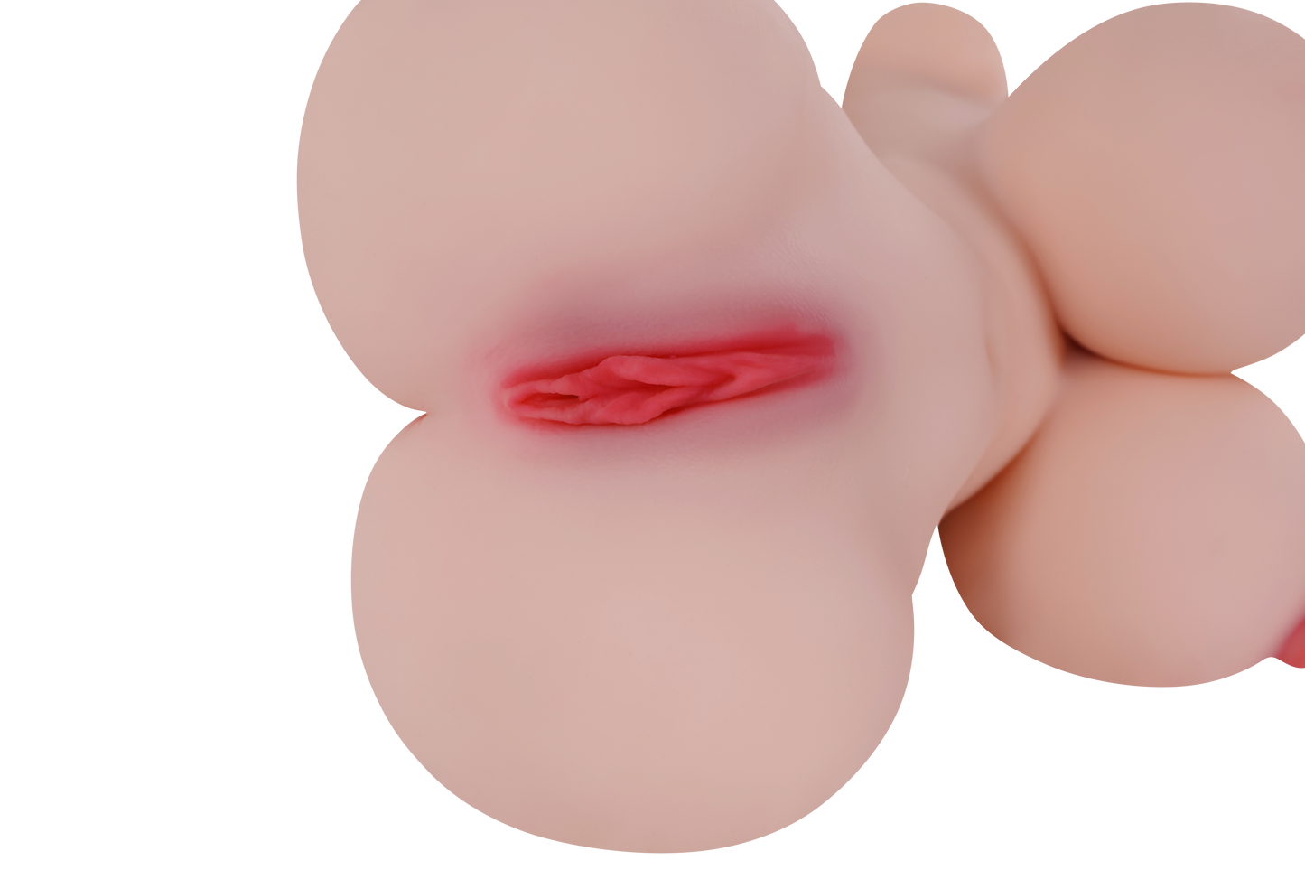 Female Torso with Skeleton (Usable Breasts)-4X1030