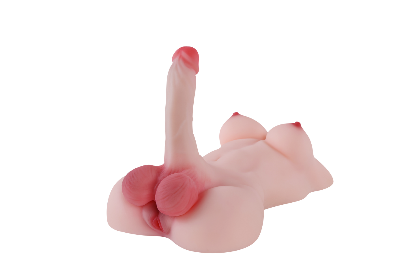 Trans Model-RY480
