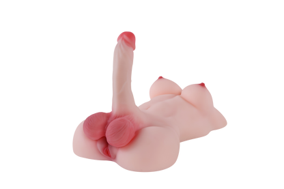 Trans Model-RY480