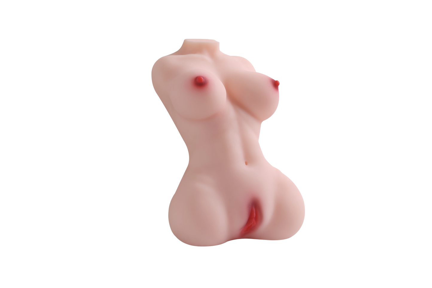 Female Torso (With Skeleton)-XG360