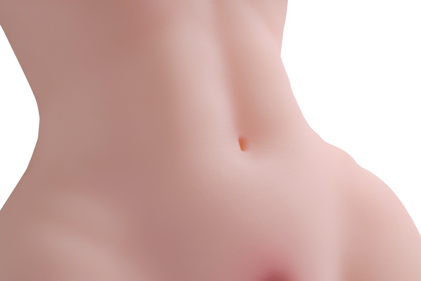 Female Torso (With Skeleton)-XG360