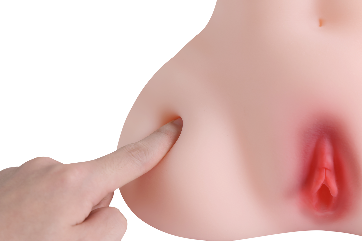 Female Torso (With Skeleton)-XG360