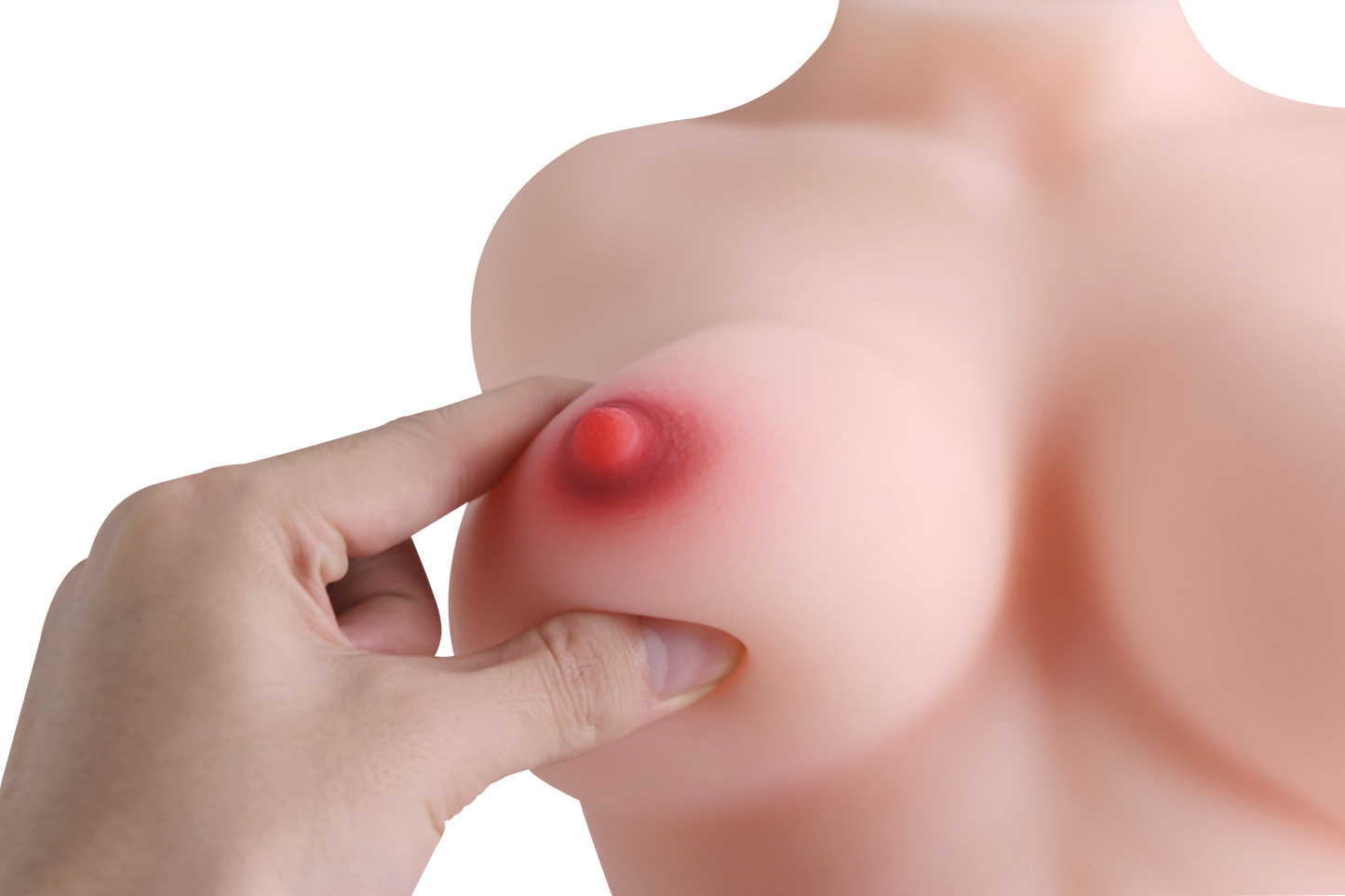 Female Torso (With Skeleton)-XG360