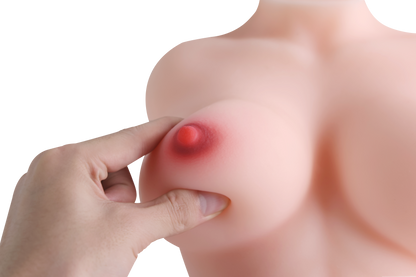 Female Torso (With Skeleton)-XG360