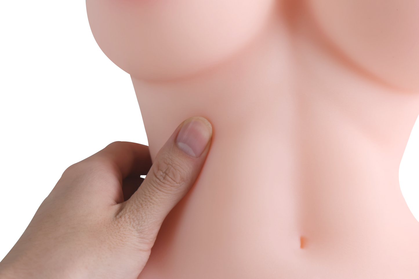 Female Torso (With Skeleton)-XG360