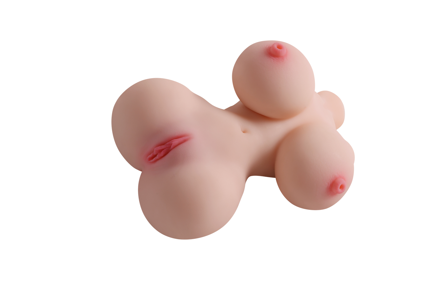 Female Torso with Skeleton (Usable Breasts)-4X395