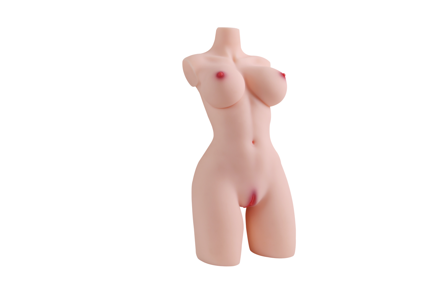 Female Torso (With Skeleton)-XG2070