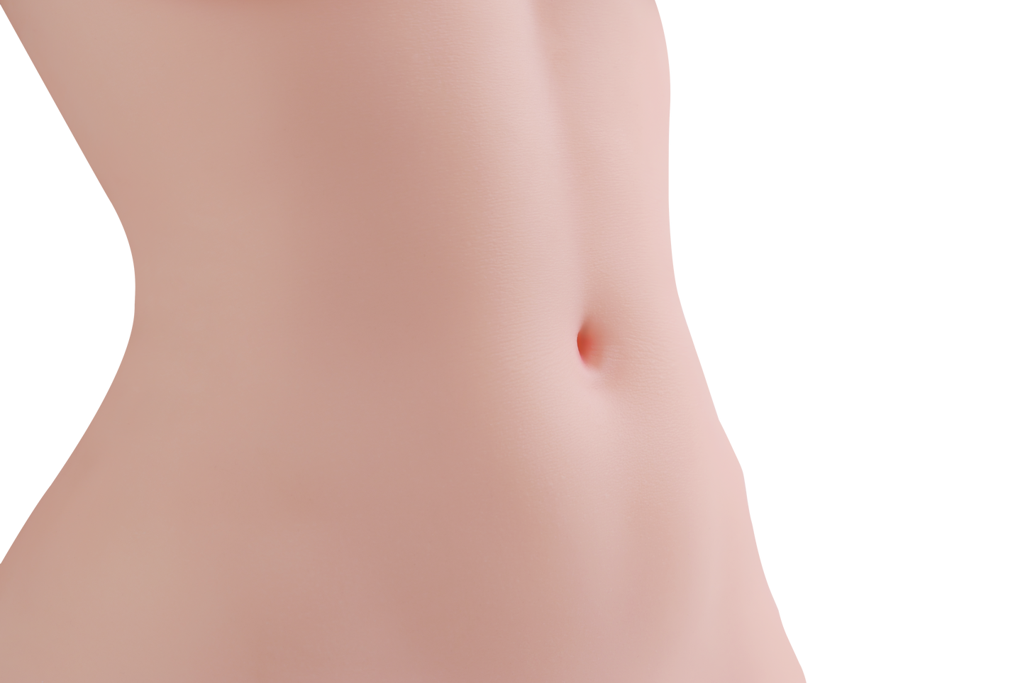 Female Torso (With Skeleton)-XG2070
