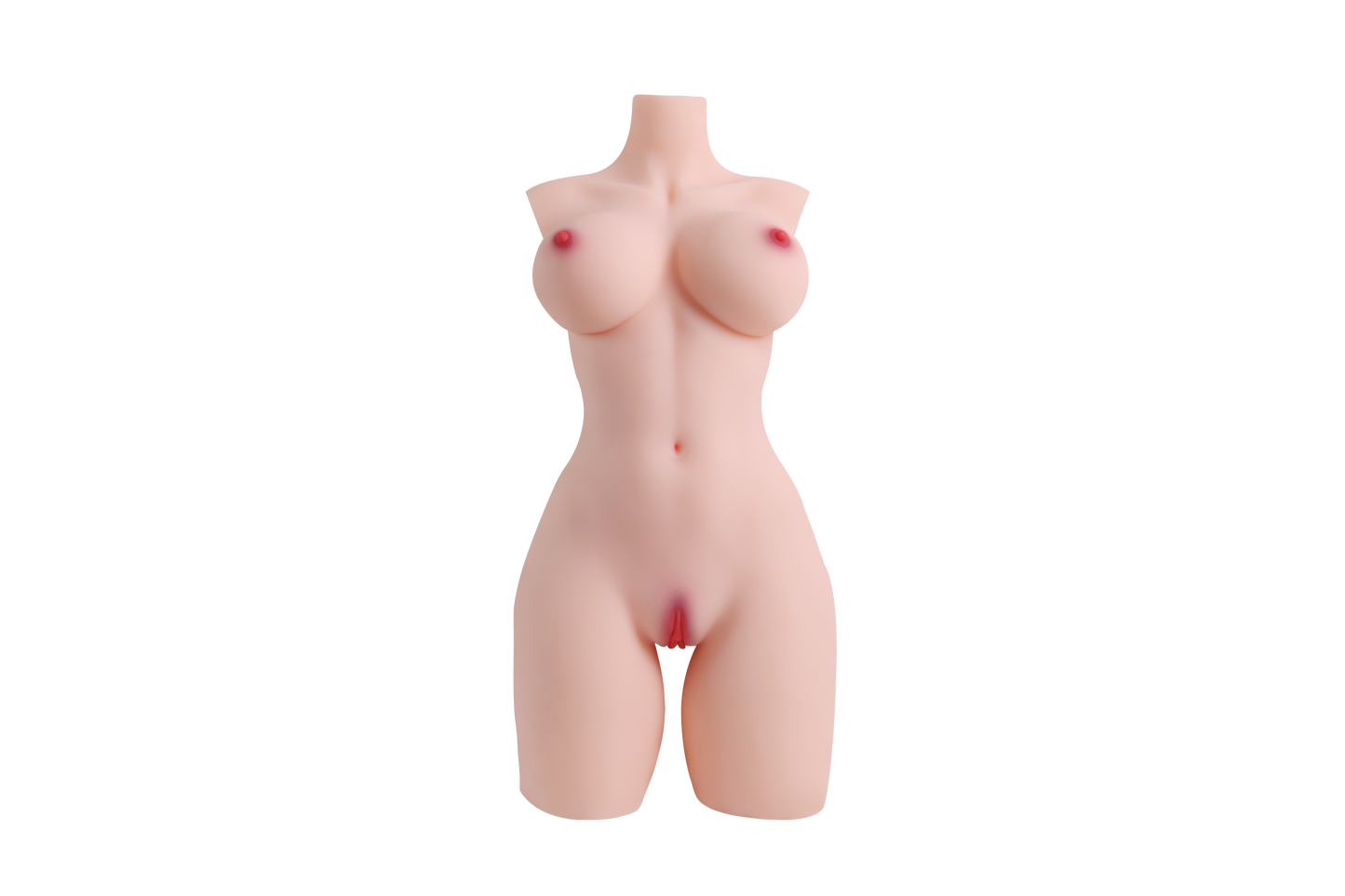 Female Torso (With Skeleton)-XG2070