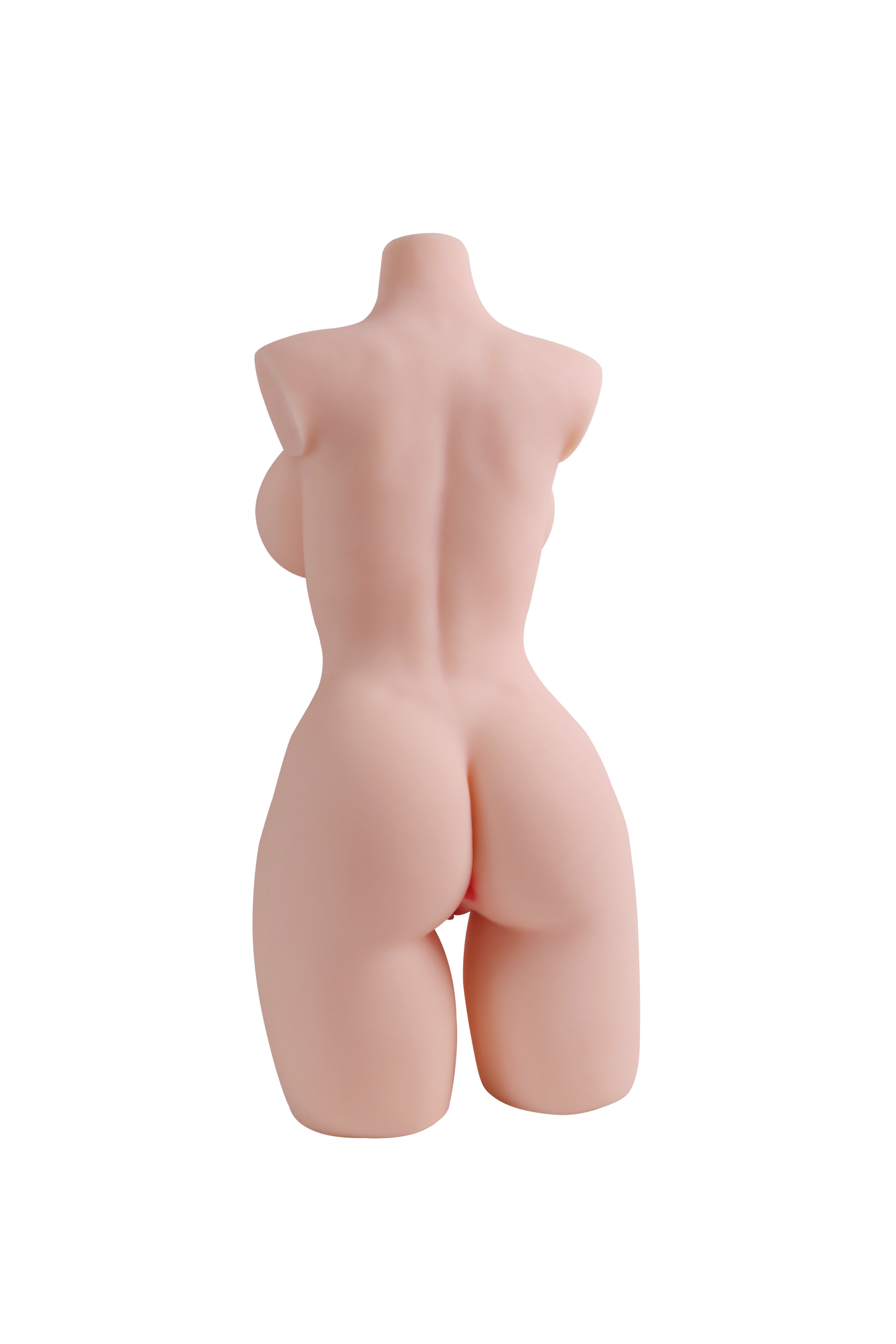 Female Torso (With Skeleton)-XG2070