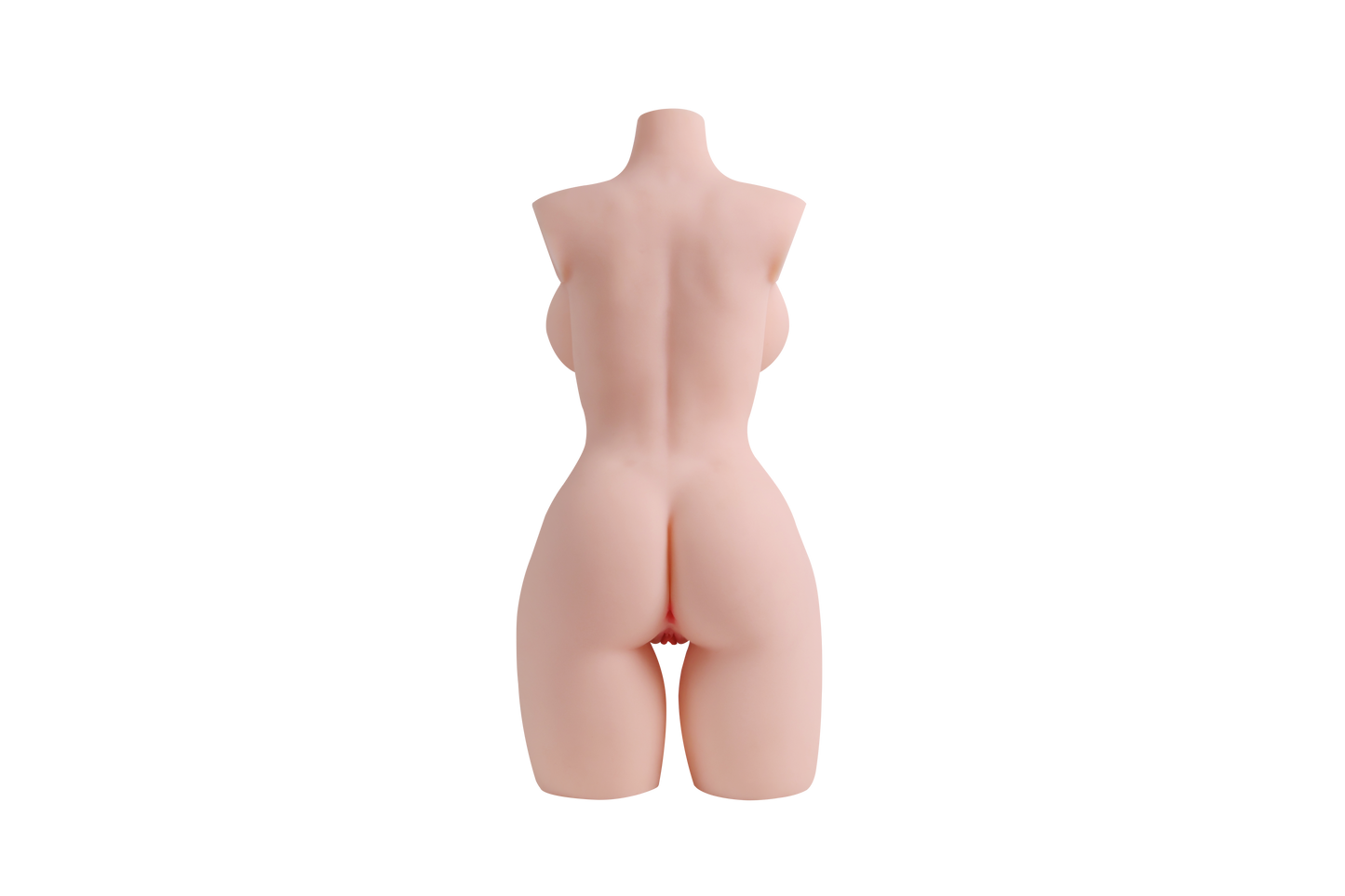 Female Torso (With Skeleton)-XG2070