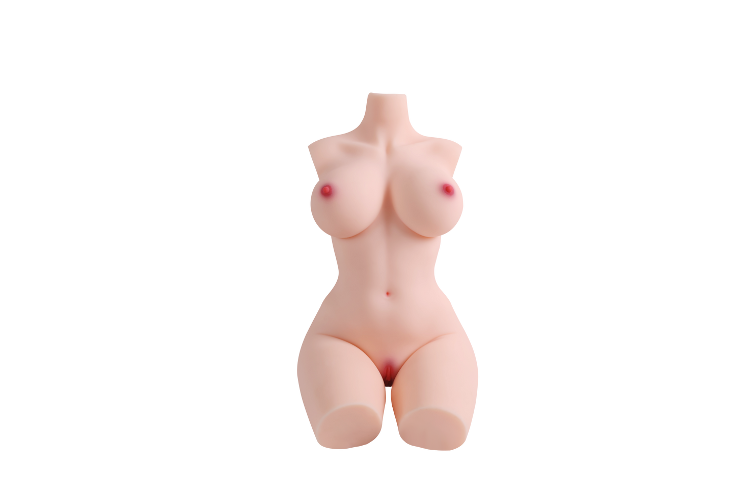 Female Torso (With Skeleton)-XG2070