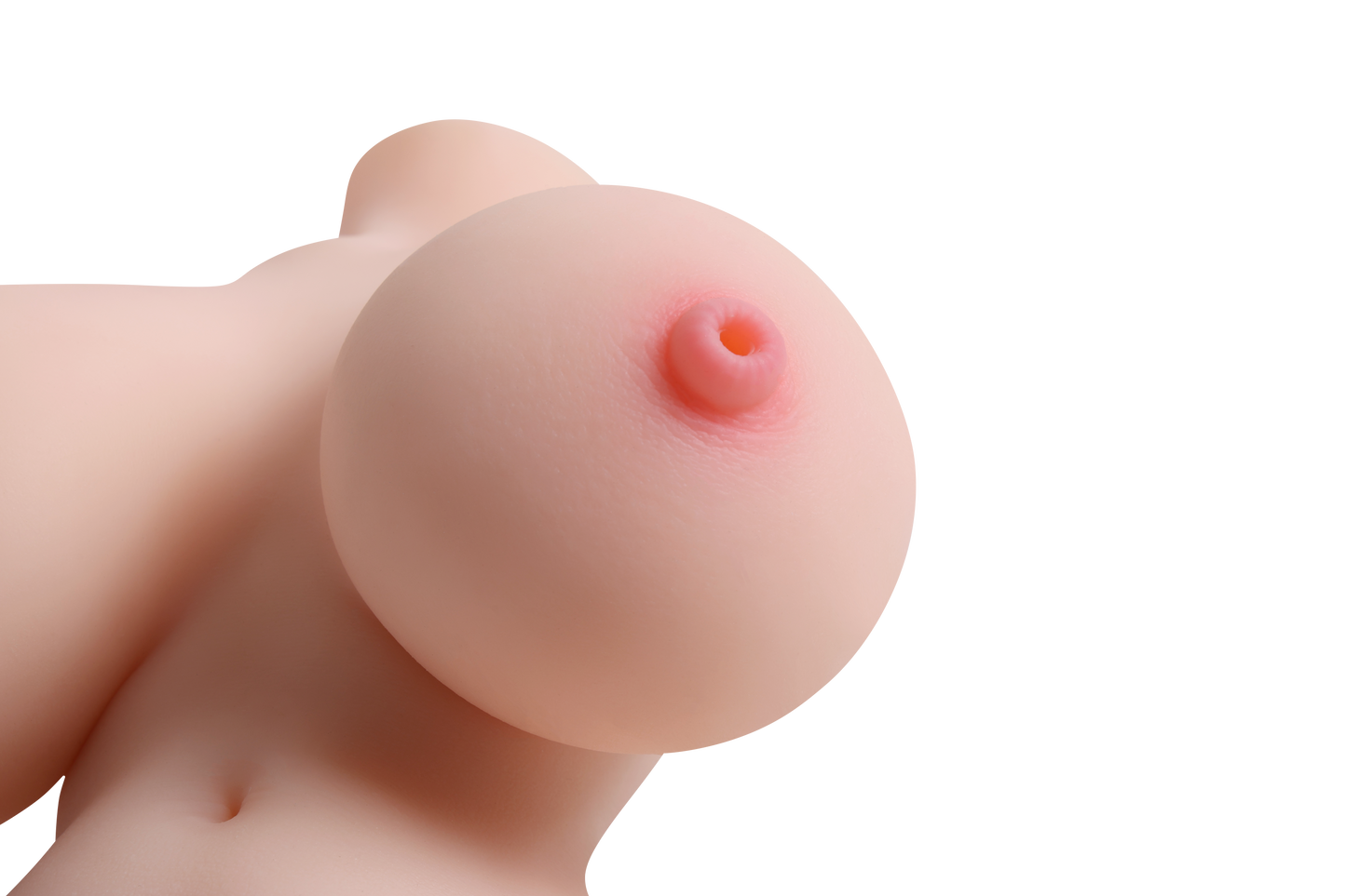 Female Torso with Skeleton (Usable Breasts)-4X395
