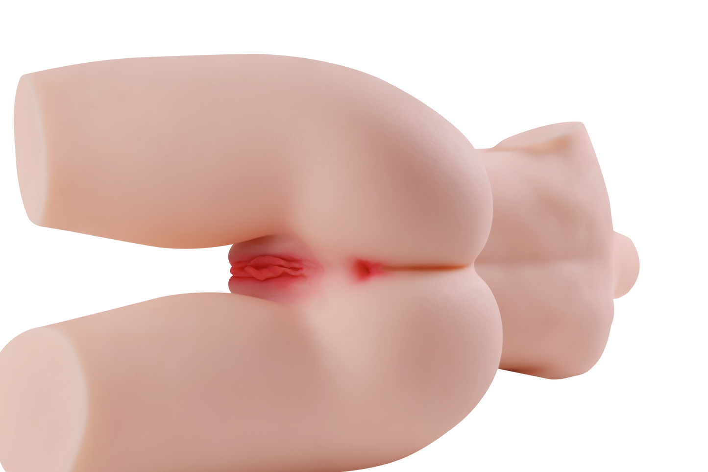 Female Torso (With Skeleton)-XG2070