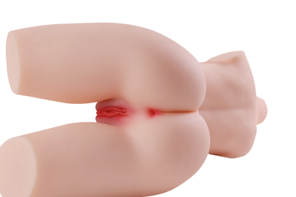 Female Torso (With Skeleton)-XG2070