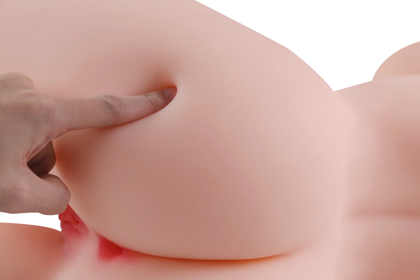 Female Torso (With Skeleton)-XG2070