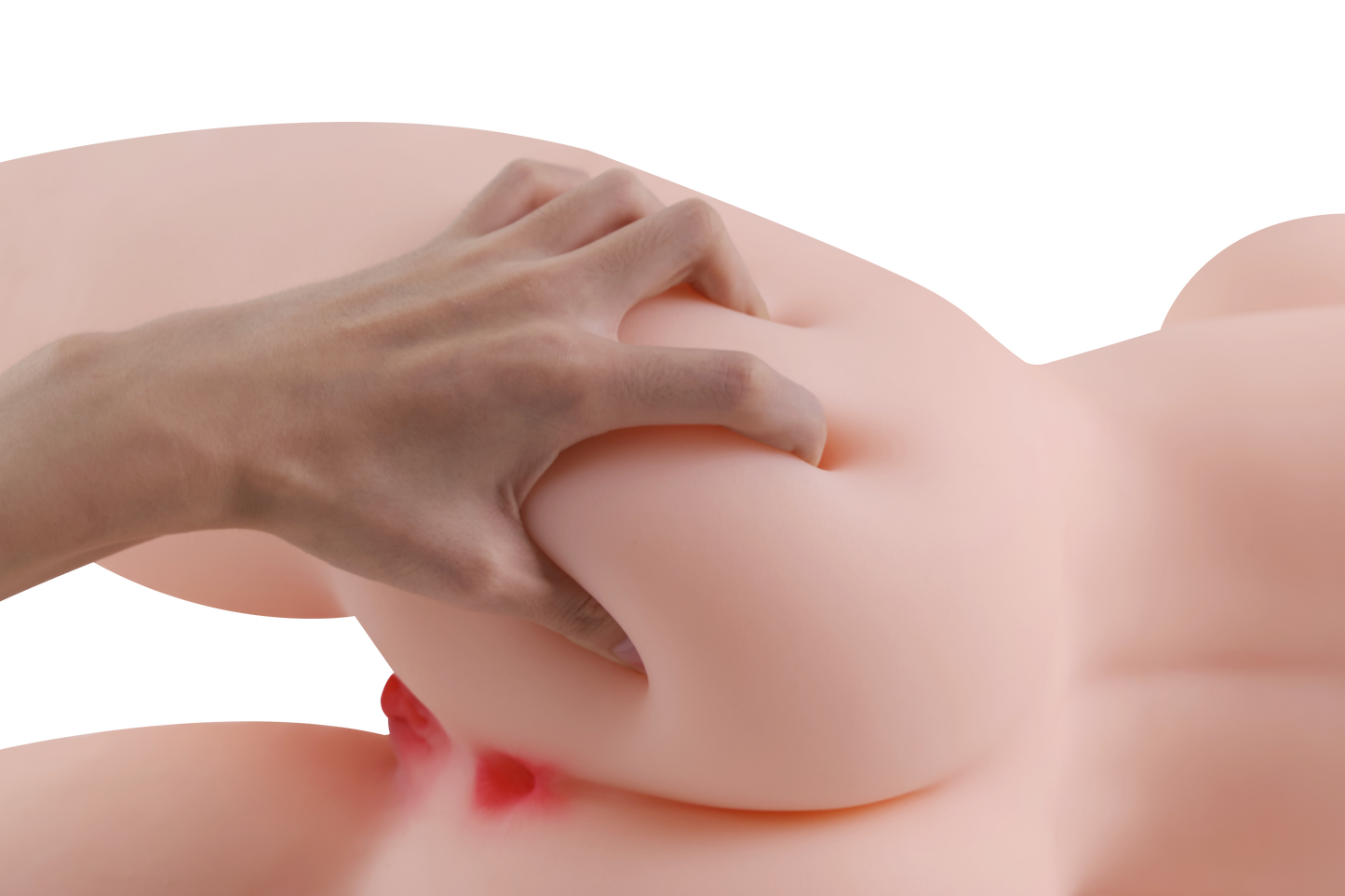 Female Torso (With Skeleton)-XG2070