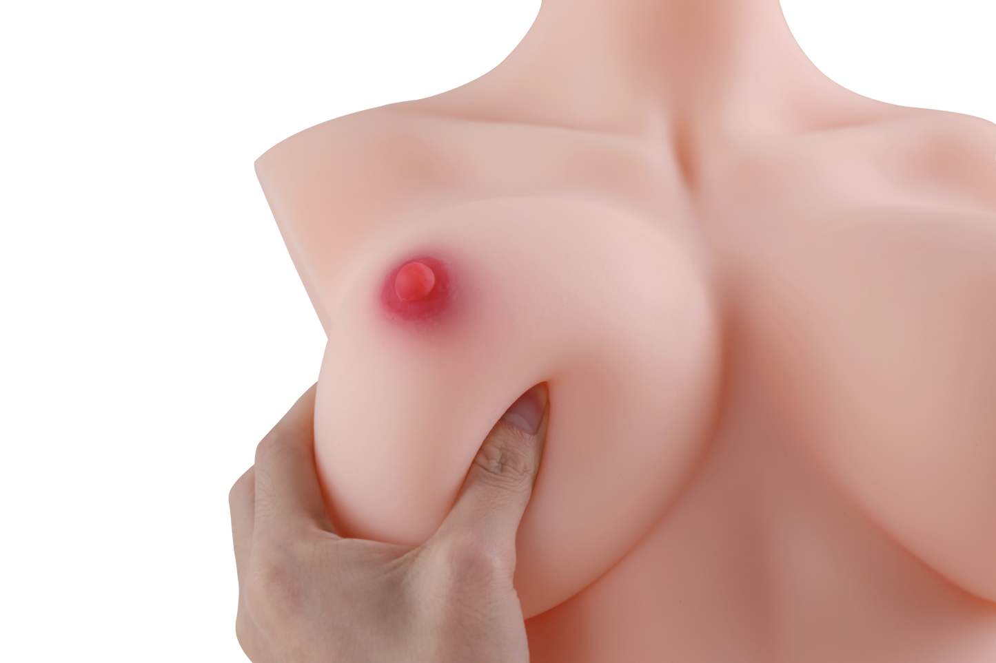 Female Torso (With Skeleton)-XG2070