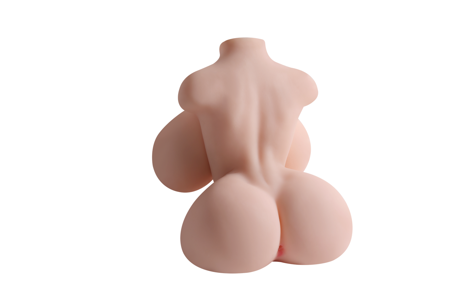 Female Torso with Skeleton (Usable Breasts)-4X1210