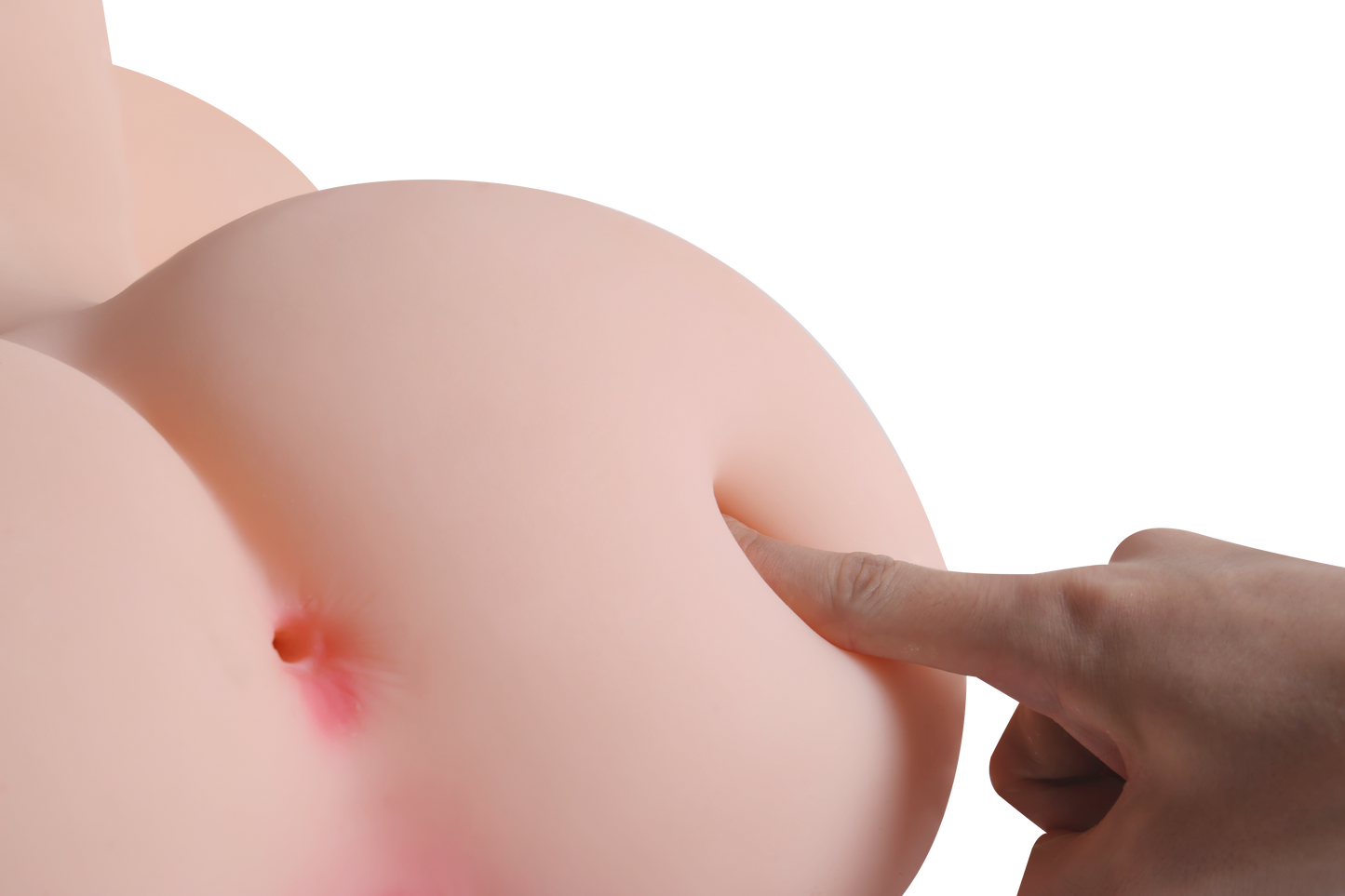 Female Torso with Skeleton (Usable Breasts)-4X1210