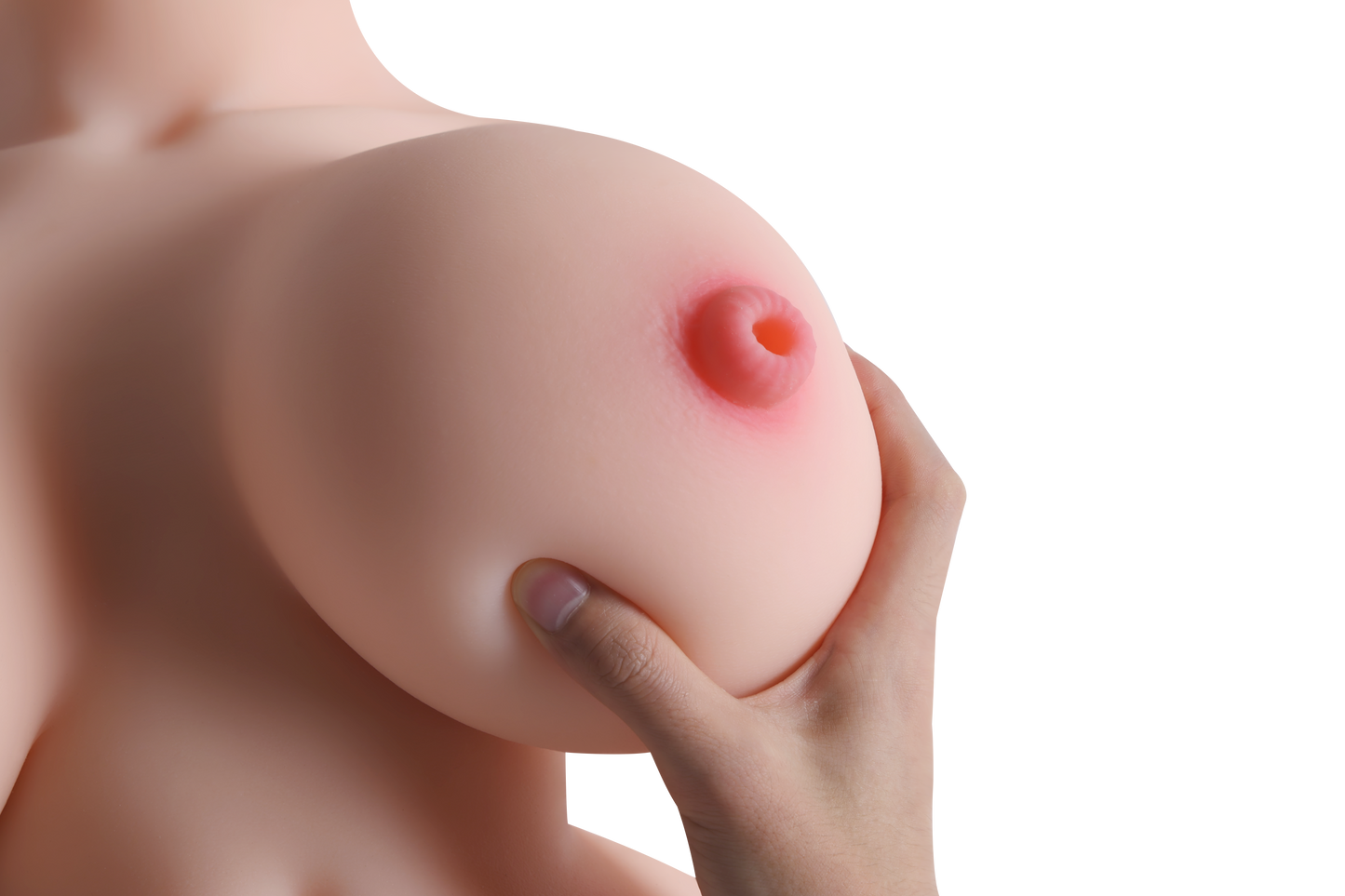 Female Torso with Skeleton (Usable Breasts)-4X1210