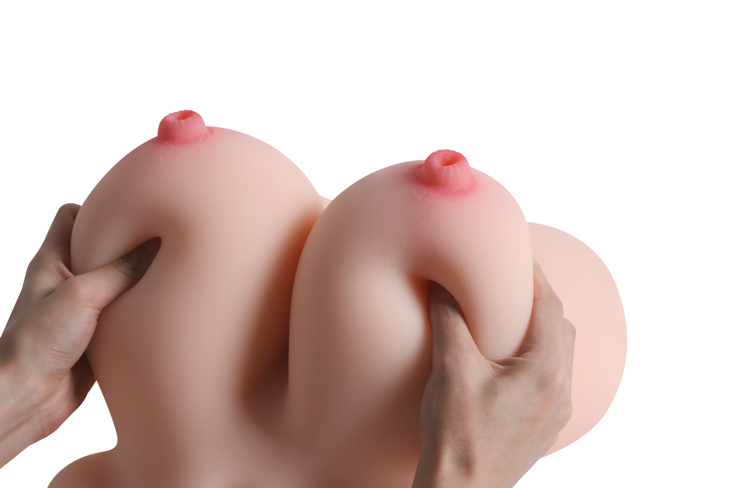 Female Torso with Skeleton (Usable Breasts)-4X1210