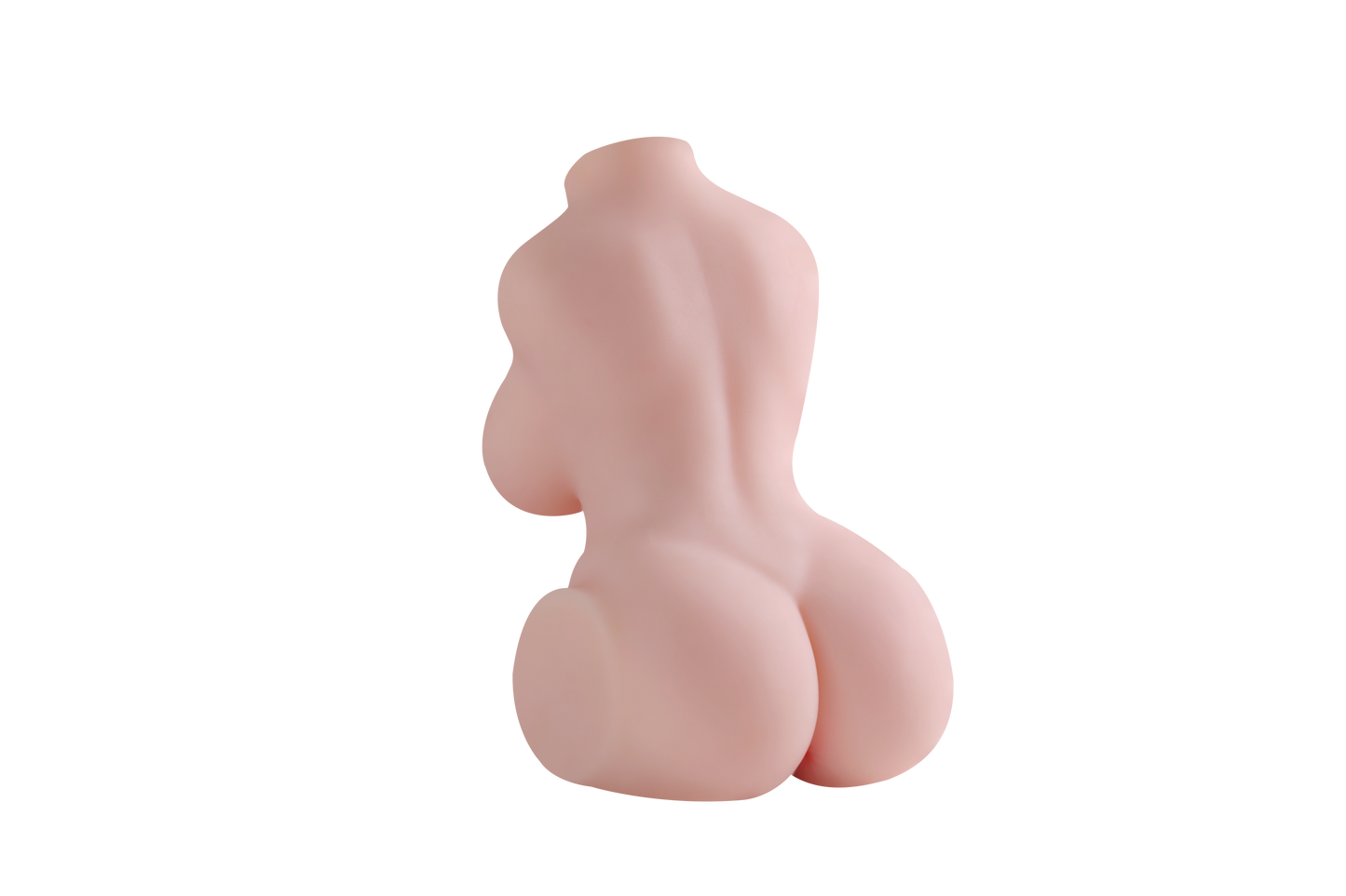 Female Torso (With Skeleton)-XG295