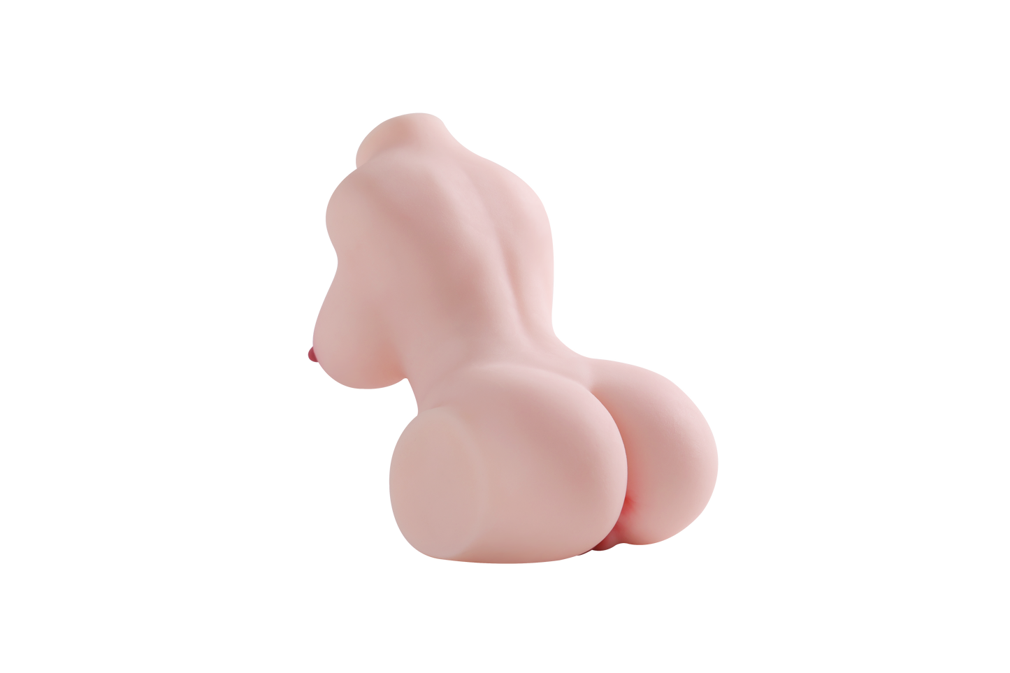 Female Torso (With Skeleton)-XG295