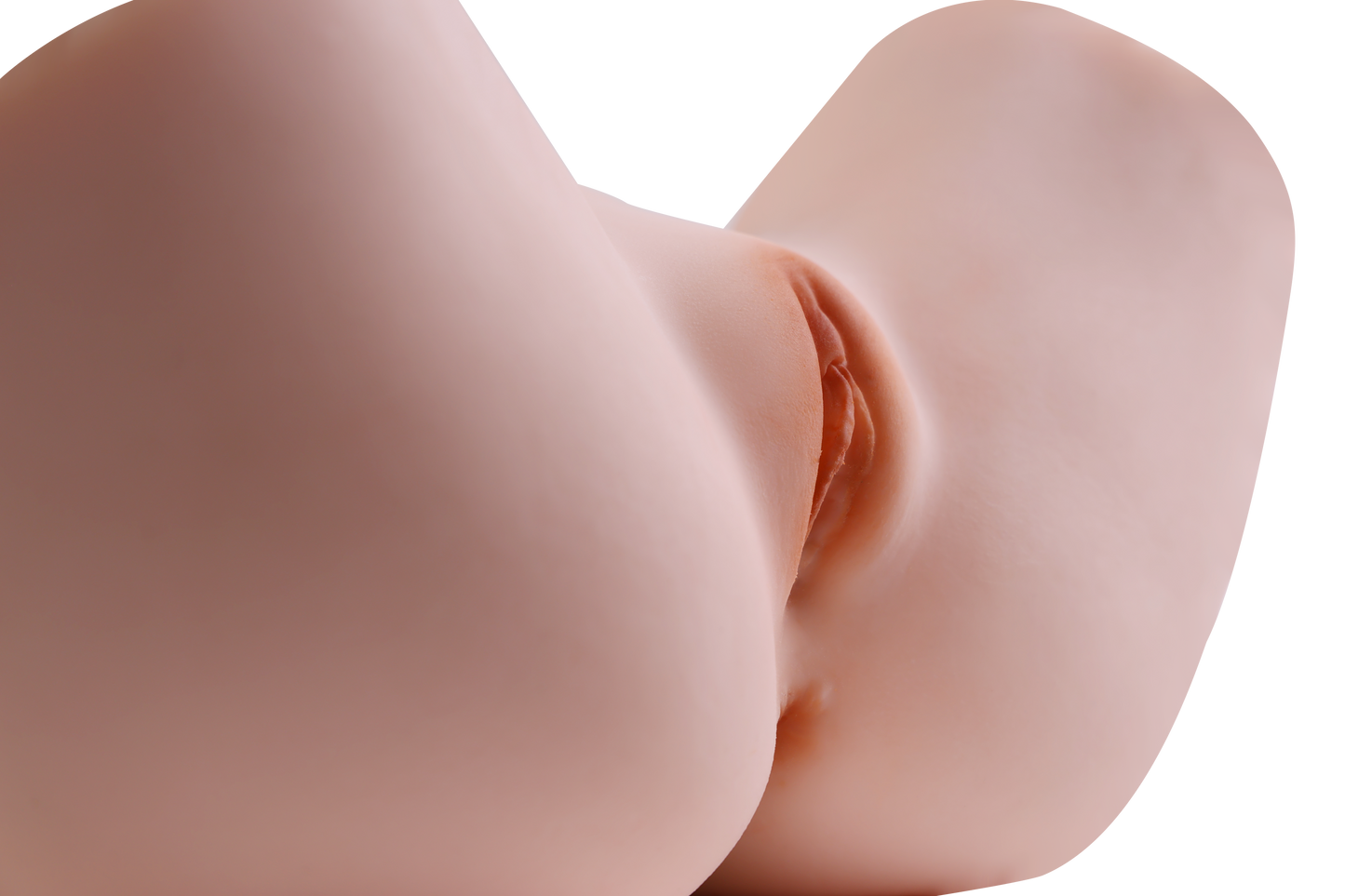 Female Torso (With Skeleton)-XG1850
