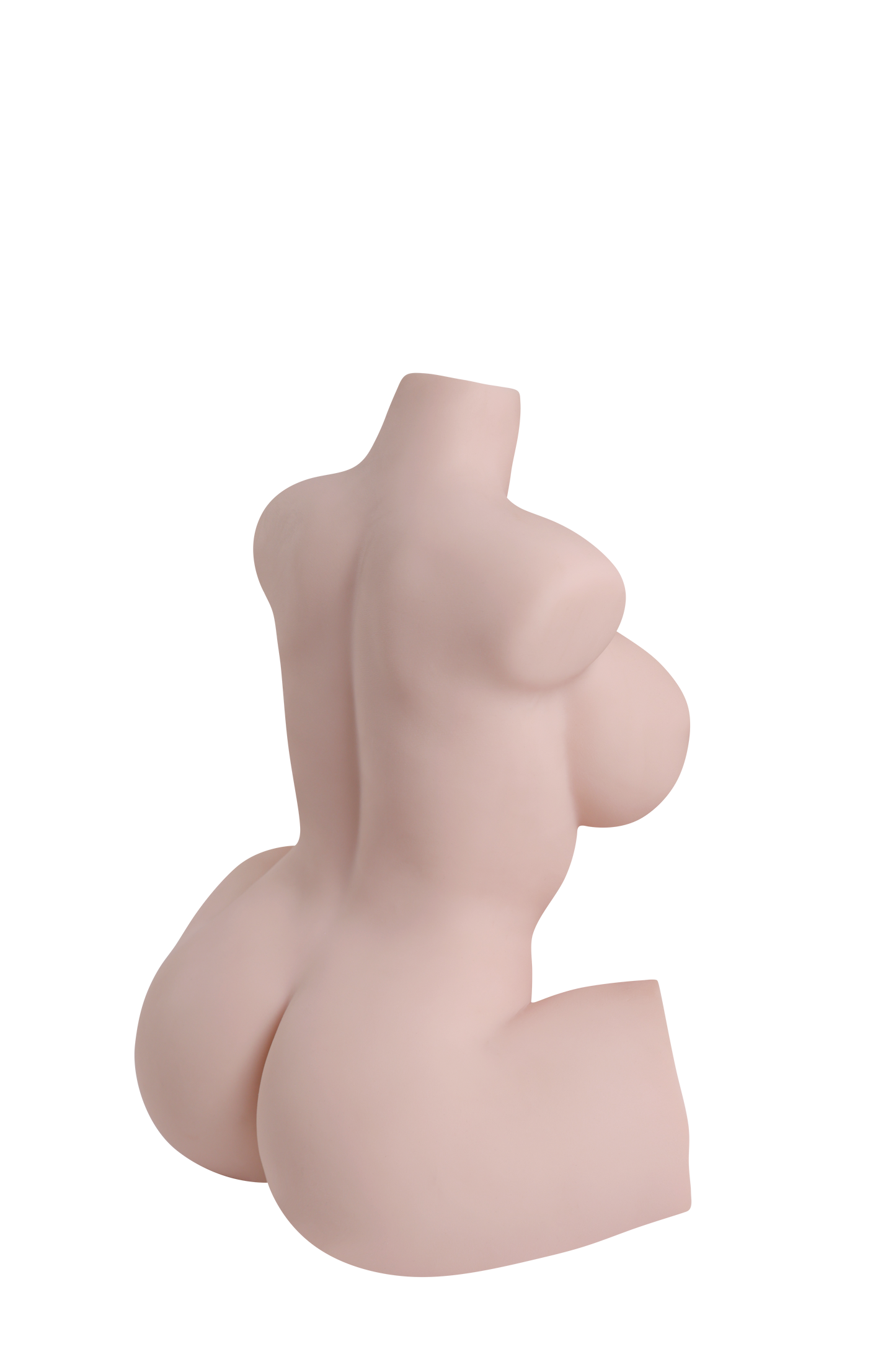 Female Torso (With Skeleton)-XG1850
