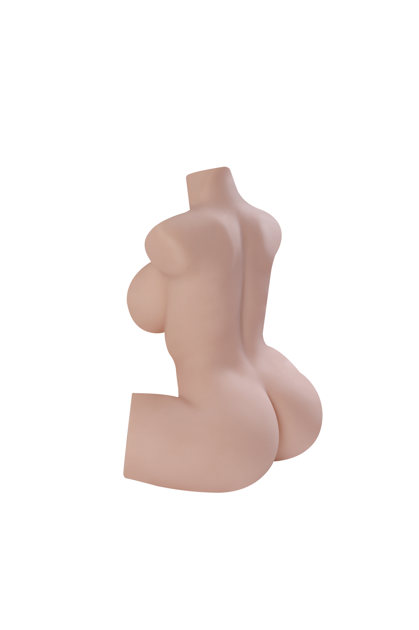 Female Torso (With Skeleton)-XG1850