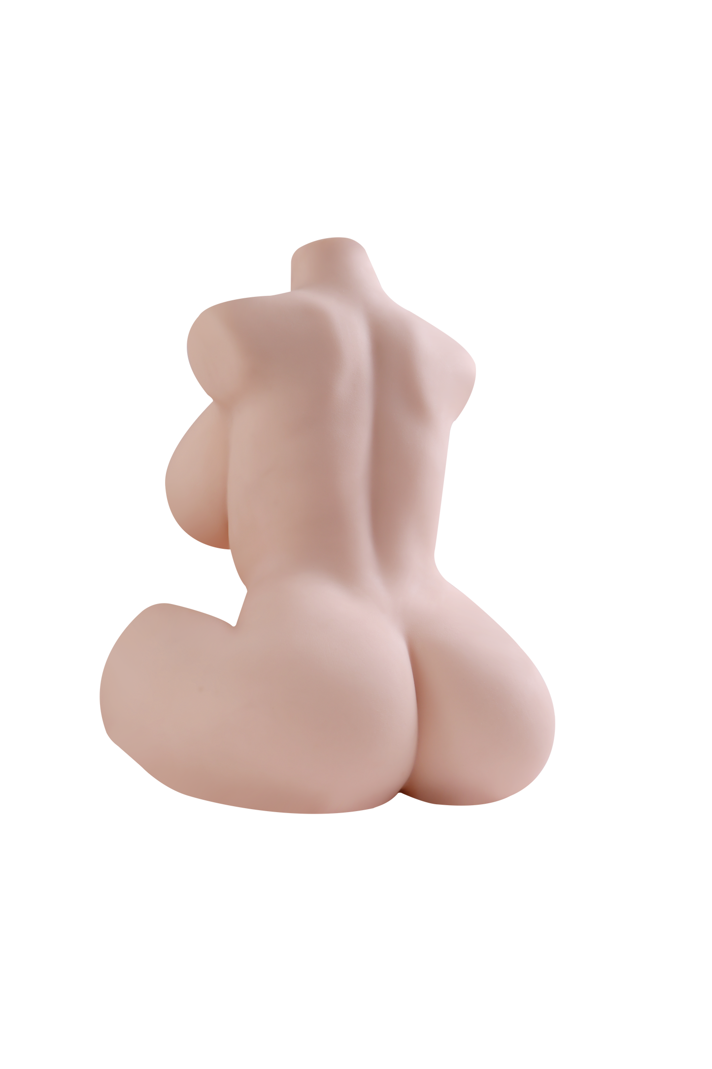 Female Torso (With Skeleton)-XG1850