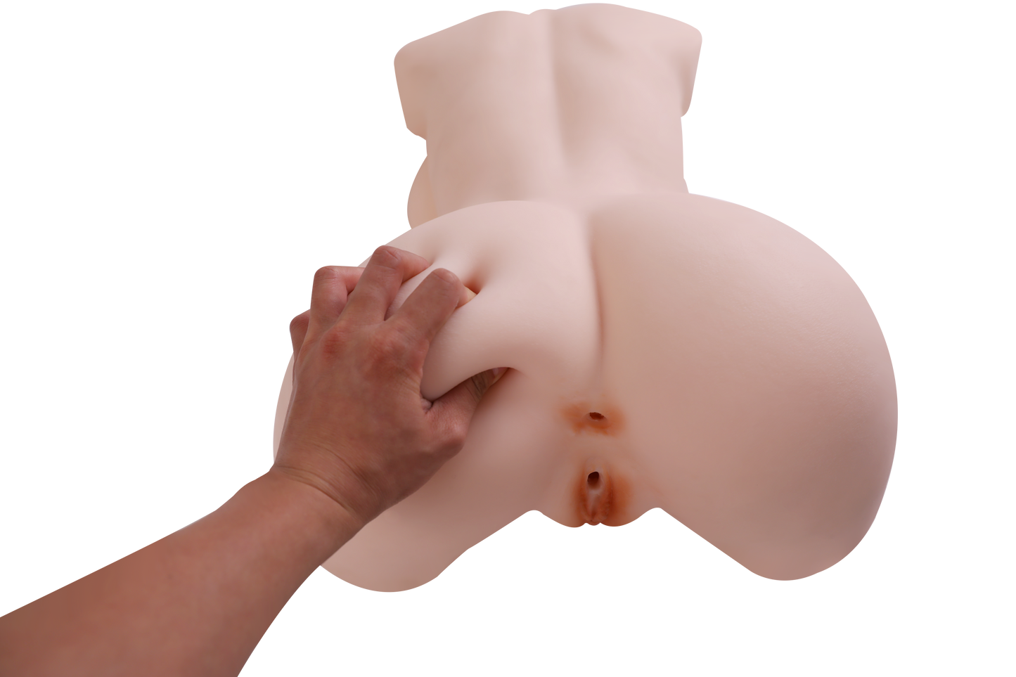 Female Torso (With Skeleton)-XG1850