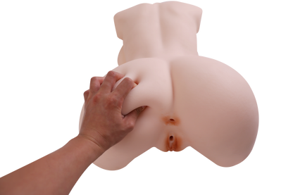 Female Torso (With Skeleton)-XG1850