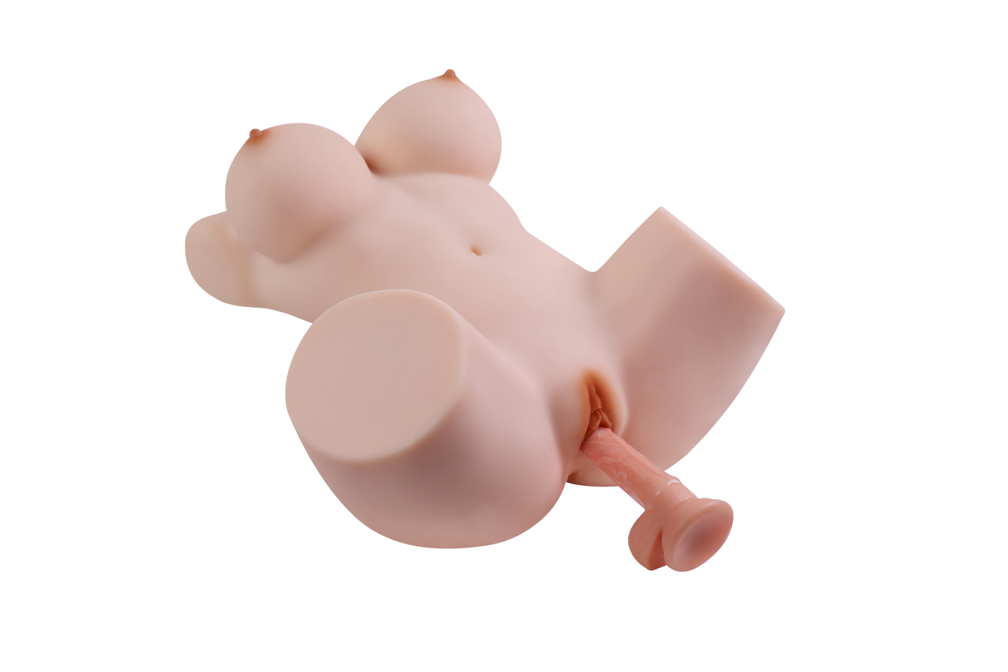 Female Torso (With Skeleton)-XG1850