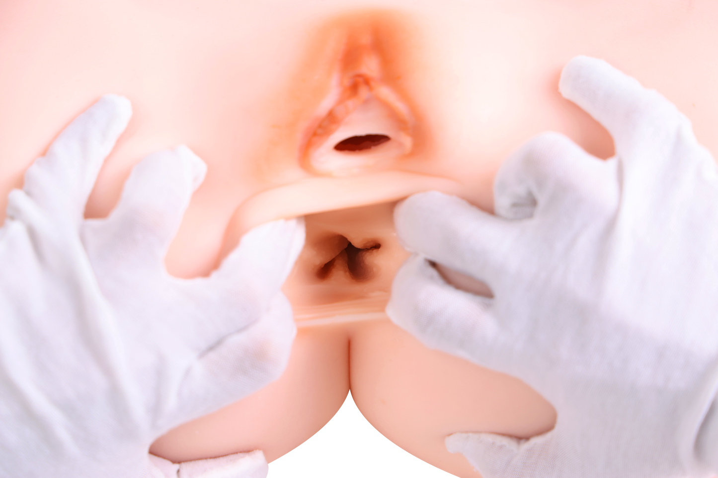 Female Torso (With Skeleton)-XG1850