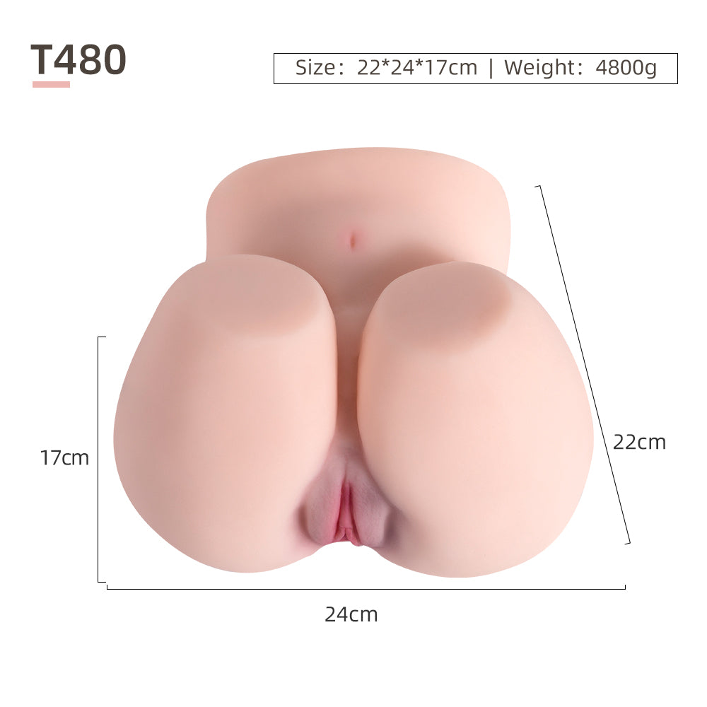 Butt Model-T480