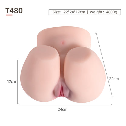Butt Model-T480