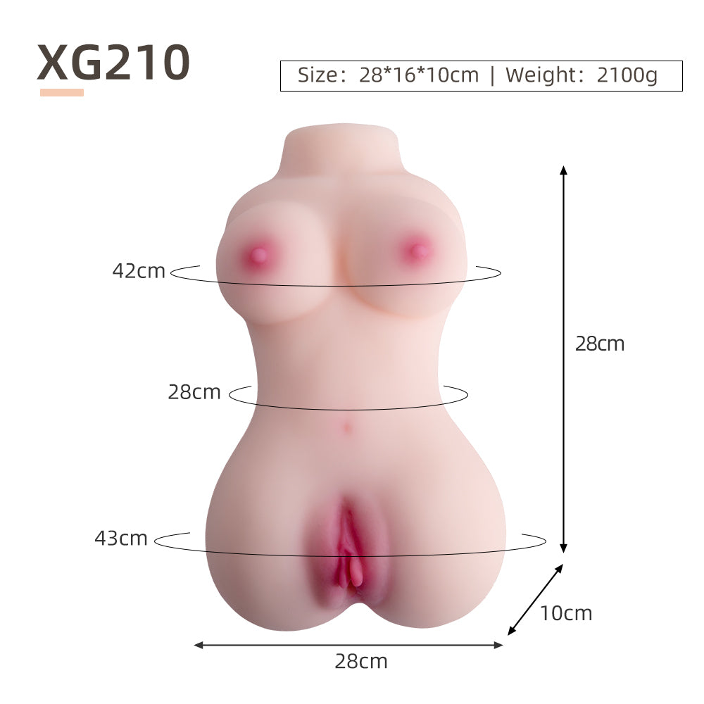 Female Torso (With Skeleton)-XG210