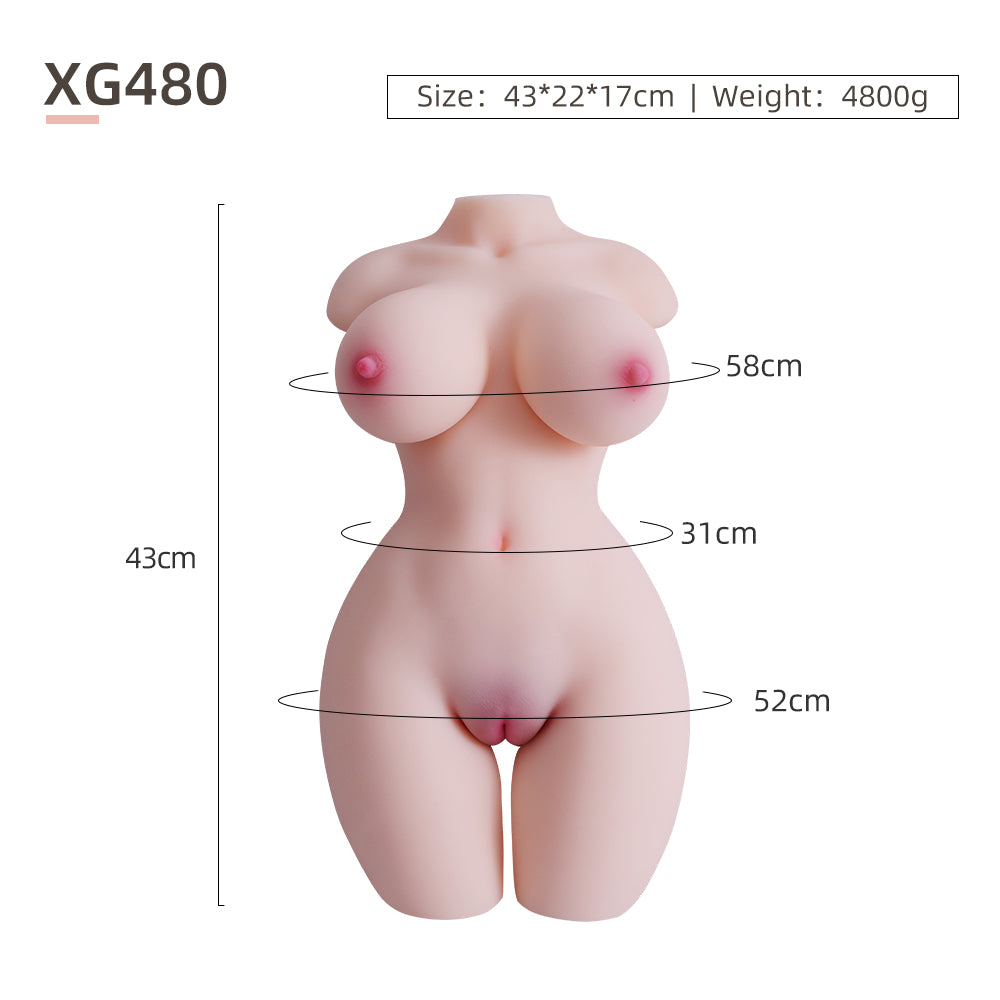 Female Torso (With Skeleton)-XG480