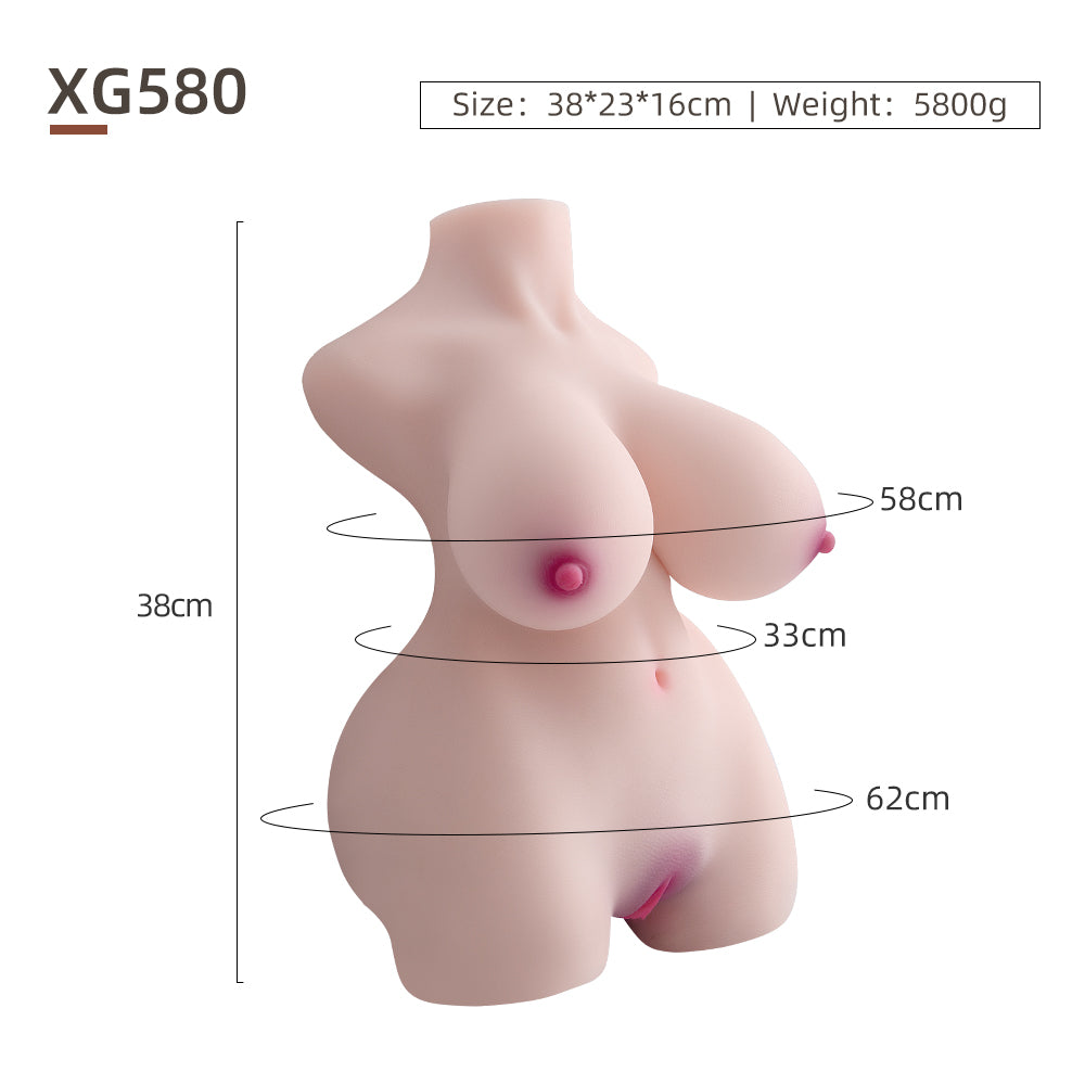 Female Torso (With Skeleton)-XG580