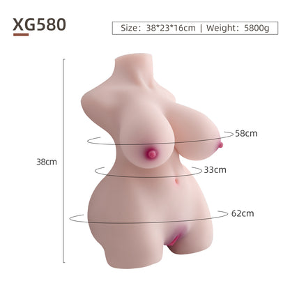 Female Torso (With Skeleton)-XG580