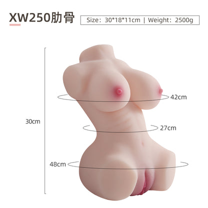 Female Torso (No Skeleton)-XW250-RIB