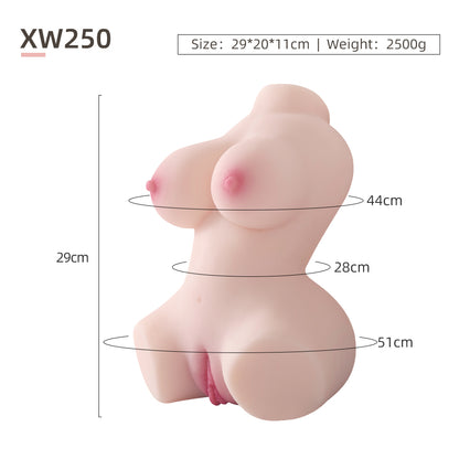 Female Torso (No Skeleton)-XW250