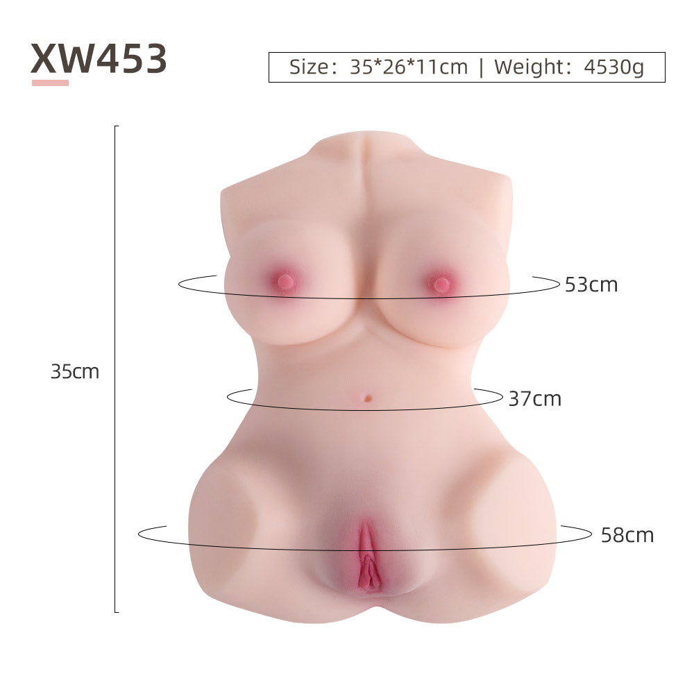 Female Torso (No Skeleton)-XW453