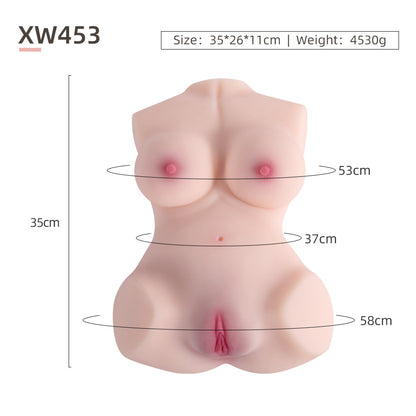 Female Torso (No Skeleton)-XW453