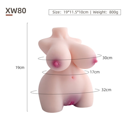 Female Torso (No Skeleton)-XW80