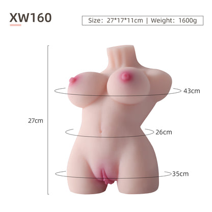 Female Torso (No Skeleton)-XW160