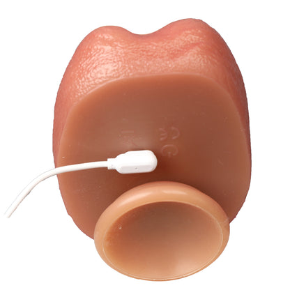 Auto Dildos-LM-L1